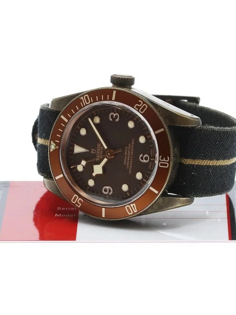 TUDOR Heritage Black Bay Bronze